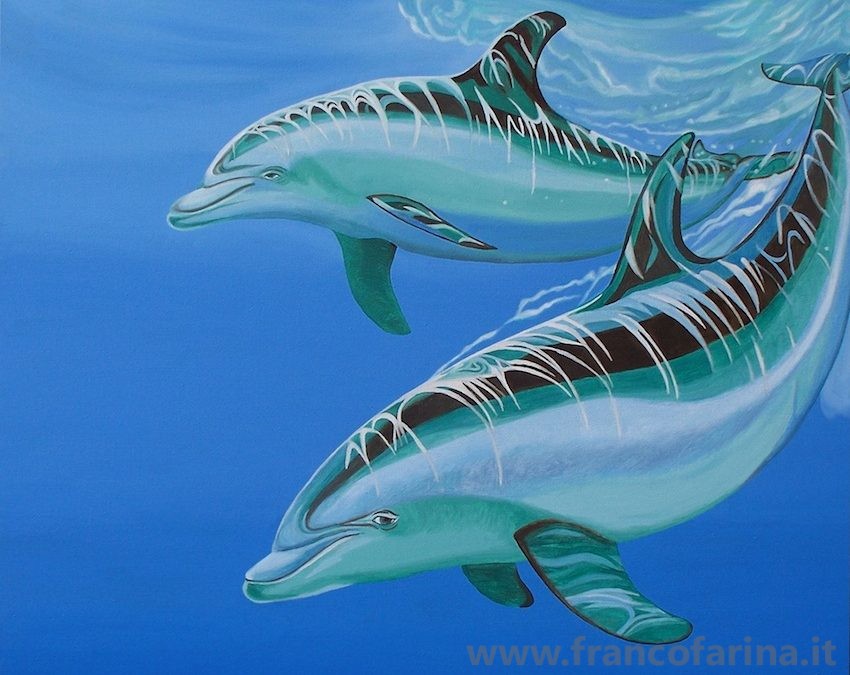 Due delfini