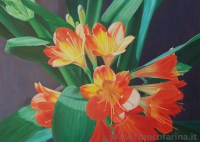La Clivia