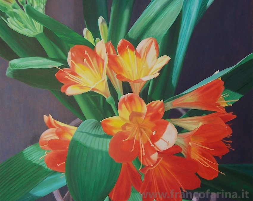 La Clivia