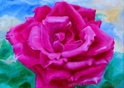 La rosa rossa