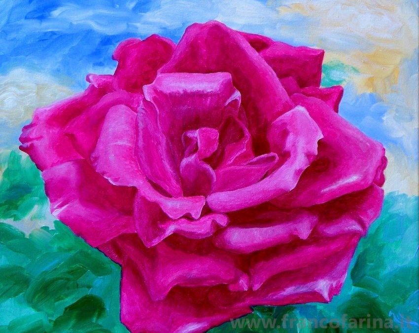 La rosa rossa