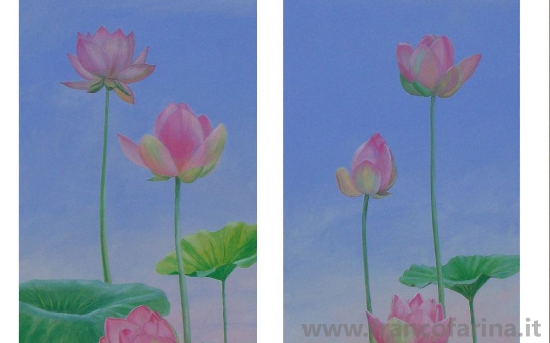 Fior di Loto rosa