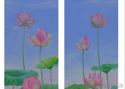 Fior di Loto rosa